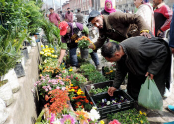SRINAGAR, MARCH 7 (UNI) People purchasing flower saplings and bulbs of different varieties at Lal Chowk  in Srinagar on Sunday. UNI SRN PHOTO 4.