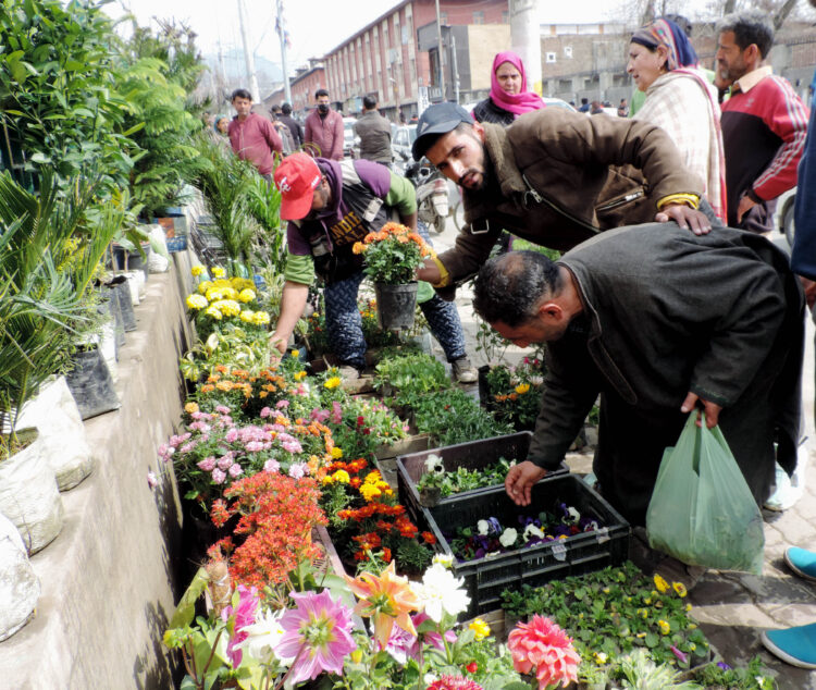 SRINAGAR, MARCH 7 (UNI) People purchasing flower saplings and bulbs of different varieties at Lal Chowk  in Srinagar on Sunday. UNI SRN PHOTO 4.