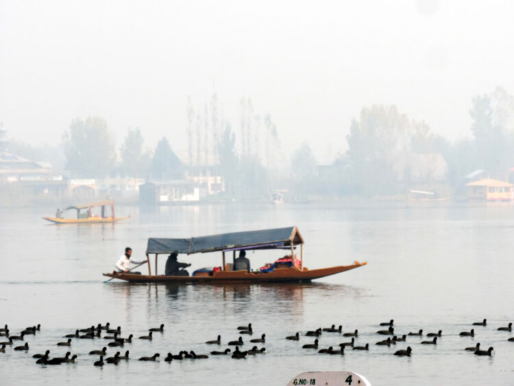 Srinagar, November 13  (UNI) A boatman rows his boat despite a dense fog in Srinagar on Saturday as the summer capital recorded seasons coldest night with 0.1 minimum temperature. UNI PHOTO SRN5