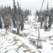 SRINAGAR, DEC 9 (UNI):- A view of fresh snowfall at Gulmarg in Srinagar on Friday. UNI PHOTO-10U